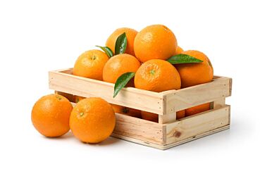 Mandarijnen per DOOS 10KG