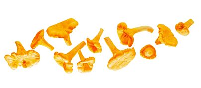 Cantharellen NOPJES per 1kg