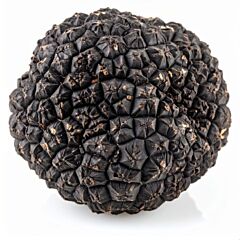 Truffel VERS per 1 GRAM