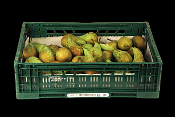 Peren Conference per KIST 14KG