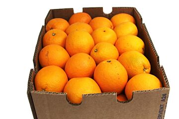 Handsinaasappels per DOOS 15KG