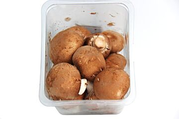 Kastanje champignon per bakje