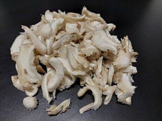 Oesterzwammen GESN. per 1kg