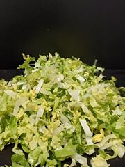 Andijvie GESN. 5MM per 1kg