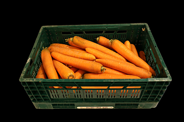 Winterwortel per KIST 20KG