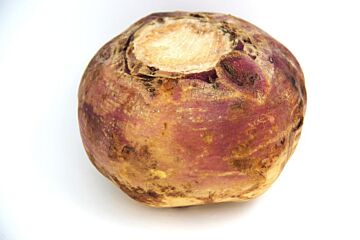 Koolraap per stuk !!!!