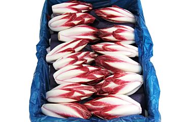 Roodlof per DOOS 2,5KG