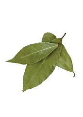Laurierblad per bos