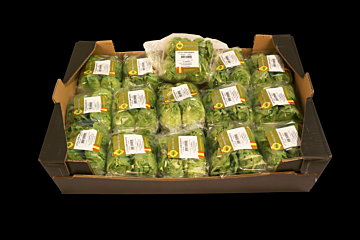 Little gem per DOOS 15X4ST