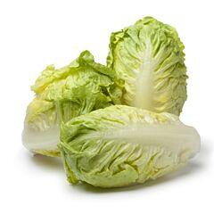 Little Gem GROF per DOOS 10X2ST