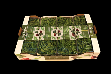 Rucola per DOOS 8X125G