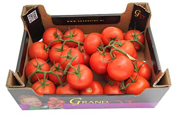 Trostomaten per DOOS 5KG