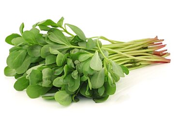 !Winterpostelein per KIST 1KG