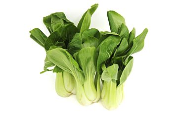 Paksoi Shanghai per kg