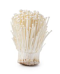 Enokipaddestoel vers per pakje