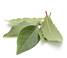 Salamblad Indonesie per kg