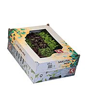 Shiso MIX Per DOOS X16