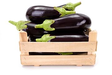 Aubergine per DOOS 5KG