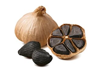 Knoflook ZWART GEPELD per pot