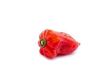 Madame Jeanette rood per kg