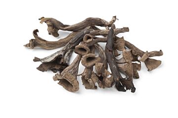 Trompette de la mort per kg