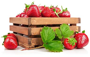 Aardbeien per DOOS 8X500g