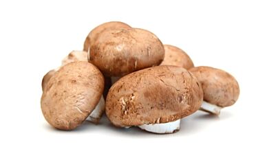 Kastanje champignons los per kg