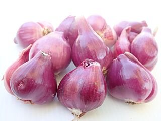 Sjalotten SCHOON per 1kg