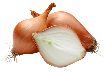 Sjalotten SCHOON per 1kg