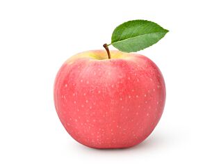Appel Fuji per KG