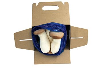 King boleet per DOOS 1kg