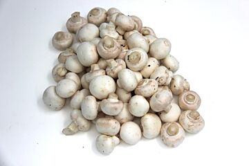 Champignons hotel  per kg