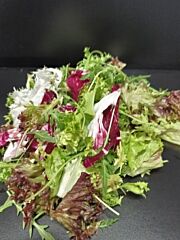 Slamix GUSTO GEPLUKT per 2KG