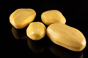 Agria HANDGESCHILD per 5KG