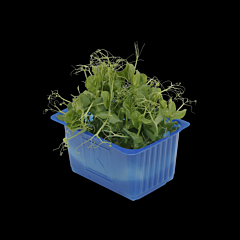 Cress Affilla per bakje