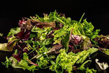 Slamix RUCOLA per 500g