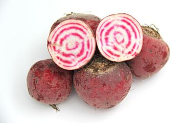 Bieten CHIOGGIA per kg