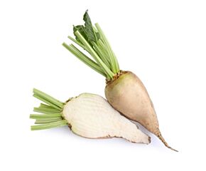 Bieten WIT per kg