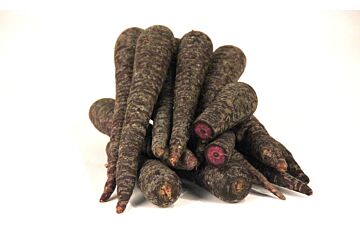 Winterwortel ZWART per kg