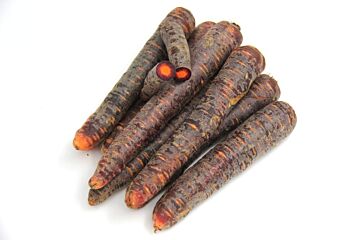 Winterwortel PAARS per kg