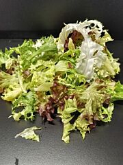 Slamix GEPLUKT per 500g