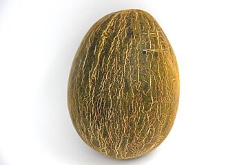 Meloen Piel de sapo per stuk