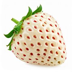!Pineberry (Aardbei-Ananas) bakje