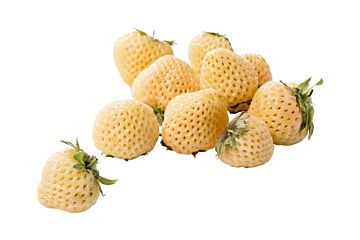Yellowberry (Aardbei geel) bakje