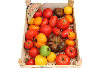 Tomaten Mix Frankrijk Houten KRAT