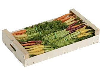 Mini Bospeen gekleurd Mix p/KIST