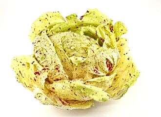 Radicchio CASTELFRANCO DOOS 2KG