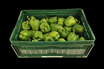 Paprika Groen per DOOS 5KG