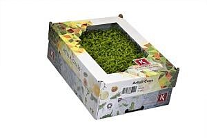 Cress Accla per DOOS X16