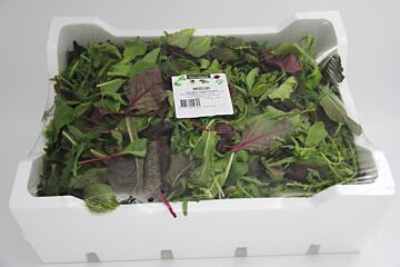 Mesclume box PIEPSCHUIM 1KG